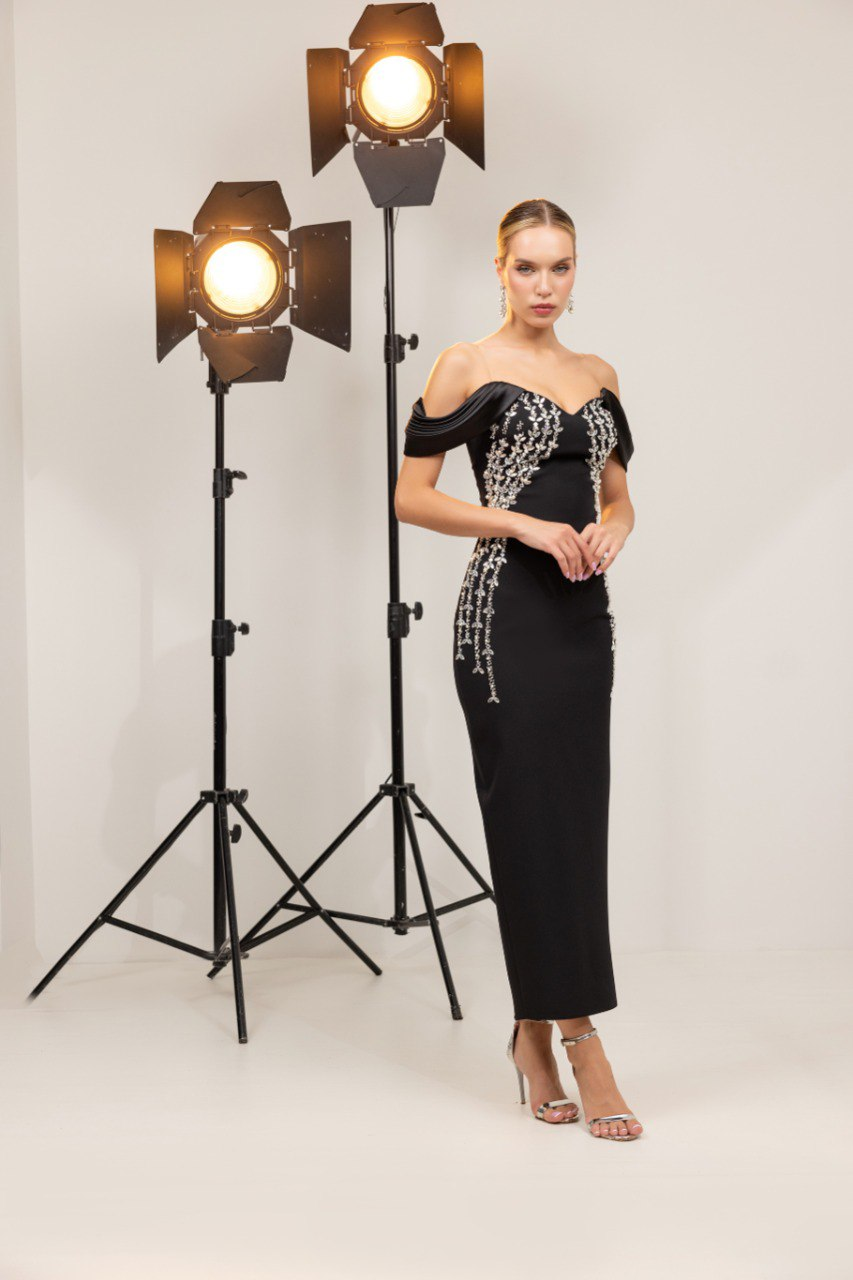 MONIRA EMBELLISHED DRESS – Zeneesa